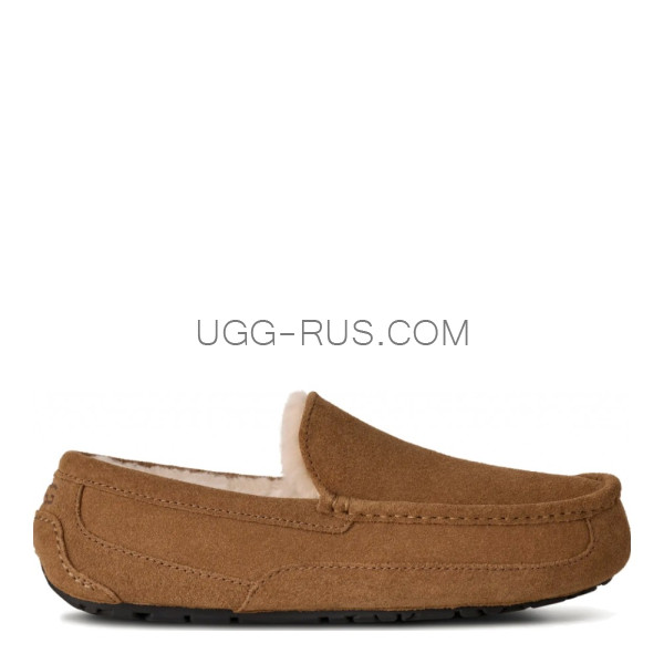 Men's Ascot Chestnut