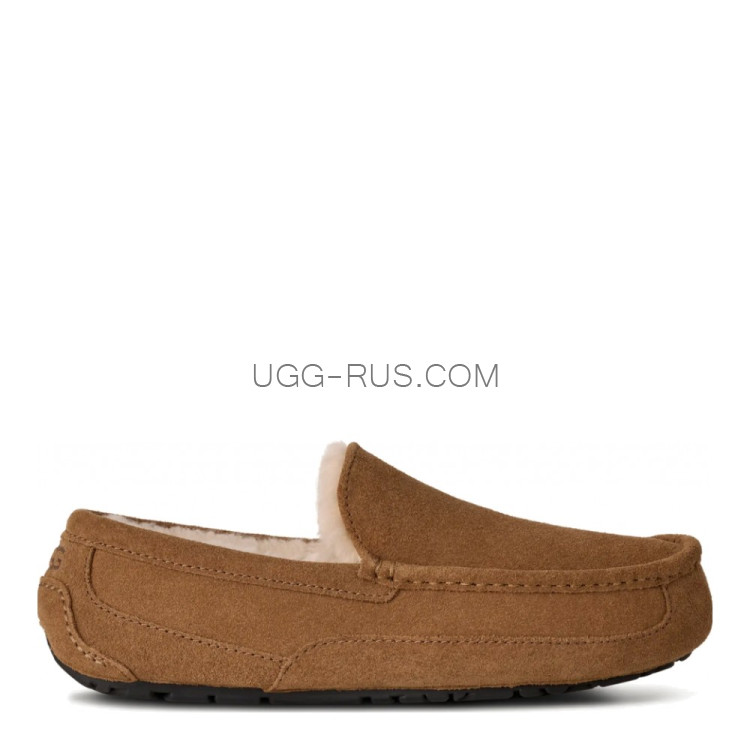 UGG MENS Ascot Chestnut