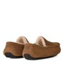 UGG MENS Ascot Chestnut