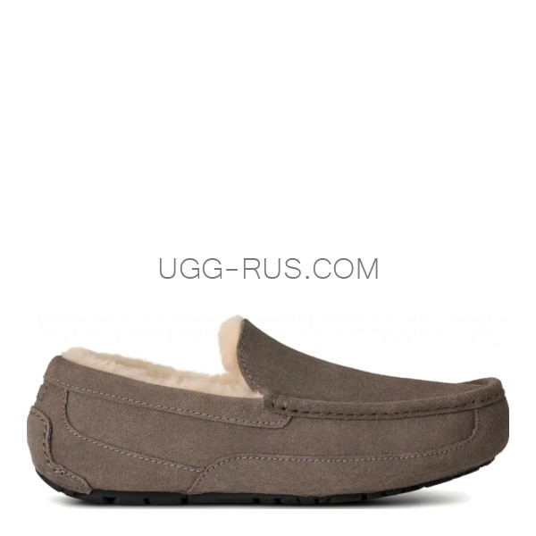 Men's Ascot Grey