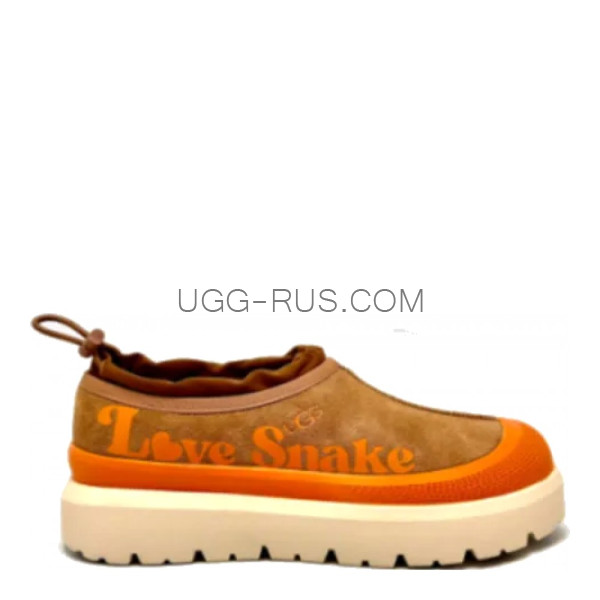 Tasman Hybrid Love Snake Orange